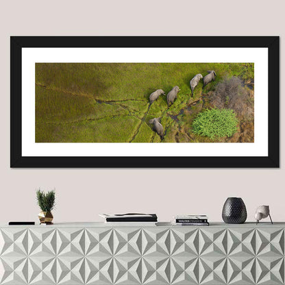 Aerial Herd of Elephants Wall Art