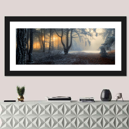 Frosted Forest Morning Light Wall Art