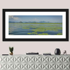 Lake Skadar Water Lilies Wall Art