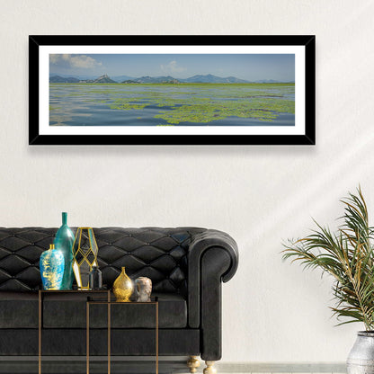 Lake Skadar Water Lilies Wall Art