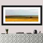 Lone Barn, Montana Farmland Wall Art