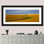Golden Hour Soybean Field Wall Art