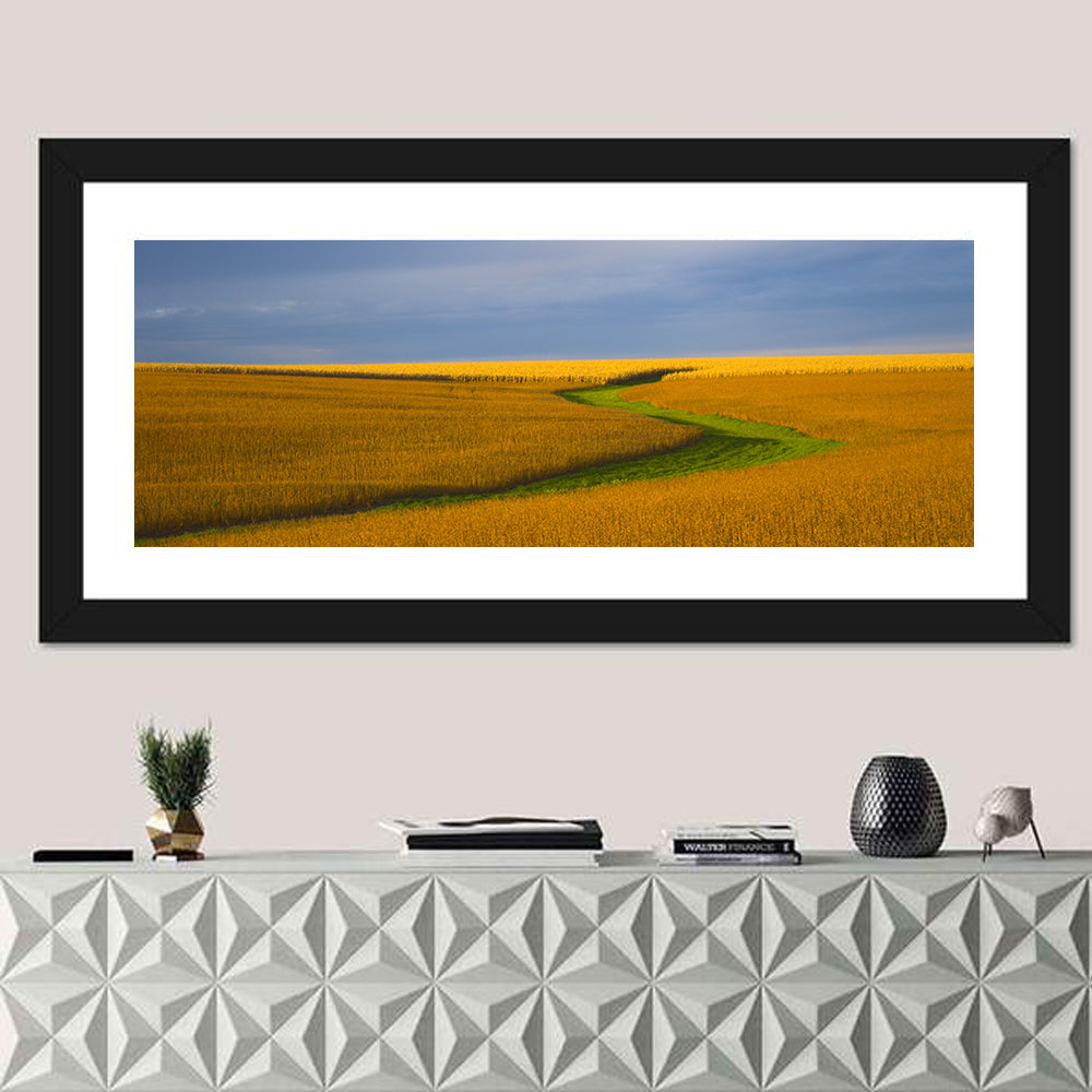 Golden Hour Soybean Field Wall Art