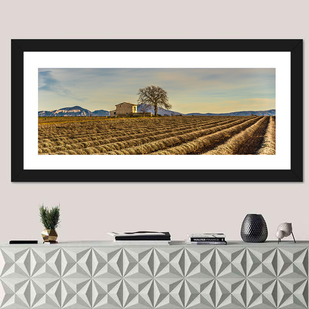 Rustic Provence Lavender Rows at Golden Hour Wall Art