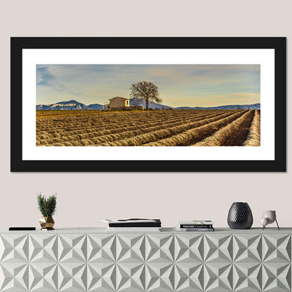 Rustic Provence Lavender Rows at Golden Hour Wall Art