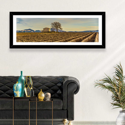 Rustic Provence Lavender Rows at Golden Hour Wall Art
