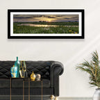 Illinois Fields Sunset Wall Art