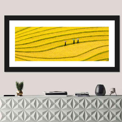 Golden Rice Terraces with Umbrellas Wall Art