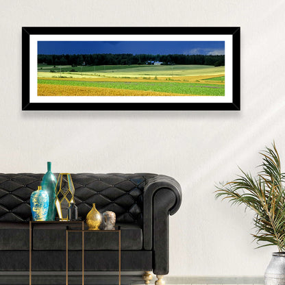 Cornfields Under Stormy Sky Wall Art