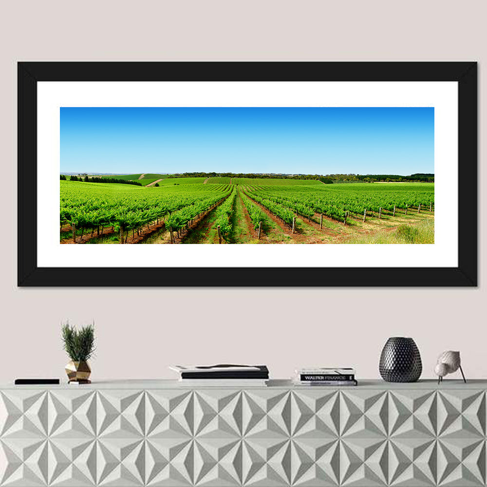 Sunlit Vineyard Rows Wall Art