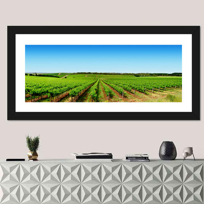 Sunlit Vineyard Rows Wall Art