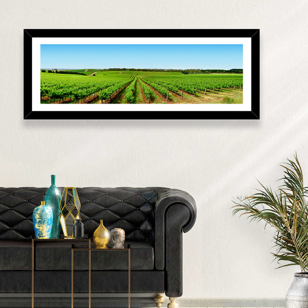 Sunlit Vineyard Rows Wall Art