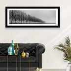 Misty Row of Bare Trees Wall Art