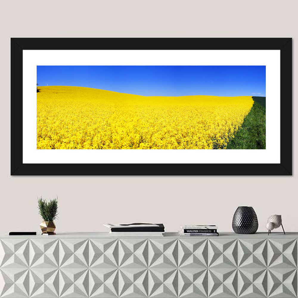 Sunlit Rapeseed Field Wall Art