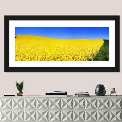 Sunlit Rapeseed Field Wall Art