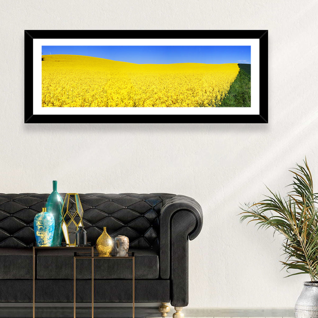 Sunlit Rapeseed Field Wall Art