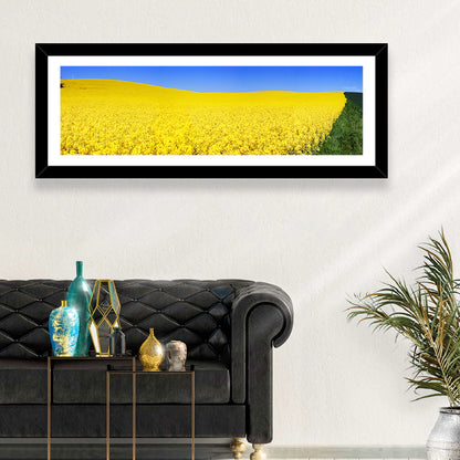 Sunlit Rapeseed Field Wall Art