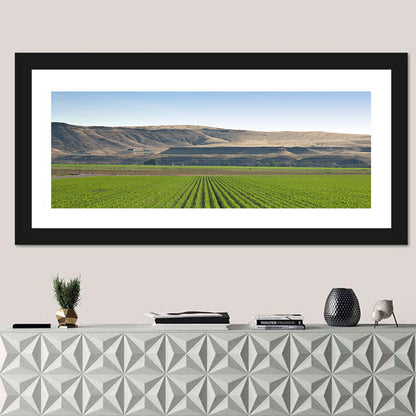 Idaho Corn Field Wall Art