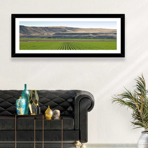 Idaho Corn Field Wall Art