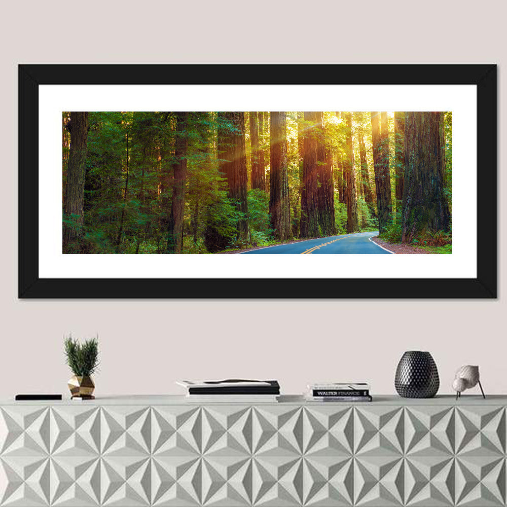 Sunlit Redwood Highway Wall Art in a room, panoramic