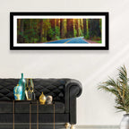 Sunlit Redwood Highway Wall Art