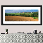 Kansas Wheat Fields Wall Art
