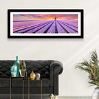 Hyacinth Field at Sunset Wall Art