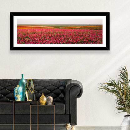 Pink Ranunculus Flower Field Wall Art