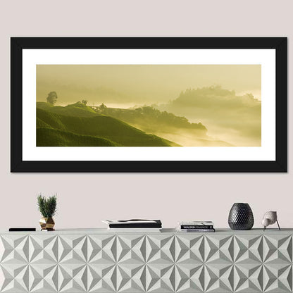 Tea Plantation Morning Mist Wall Art