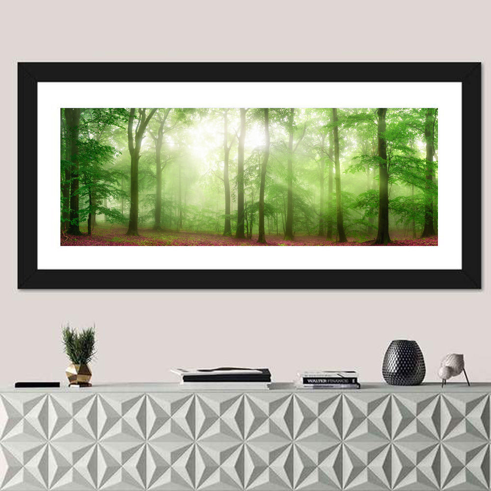 Sunlit Misty Forest Wall Art in a room, panoramic