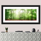 Sunlit Misty Forest Wall Art