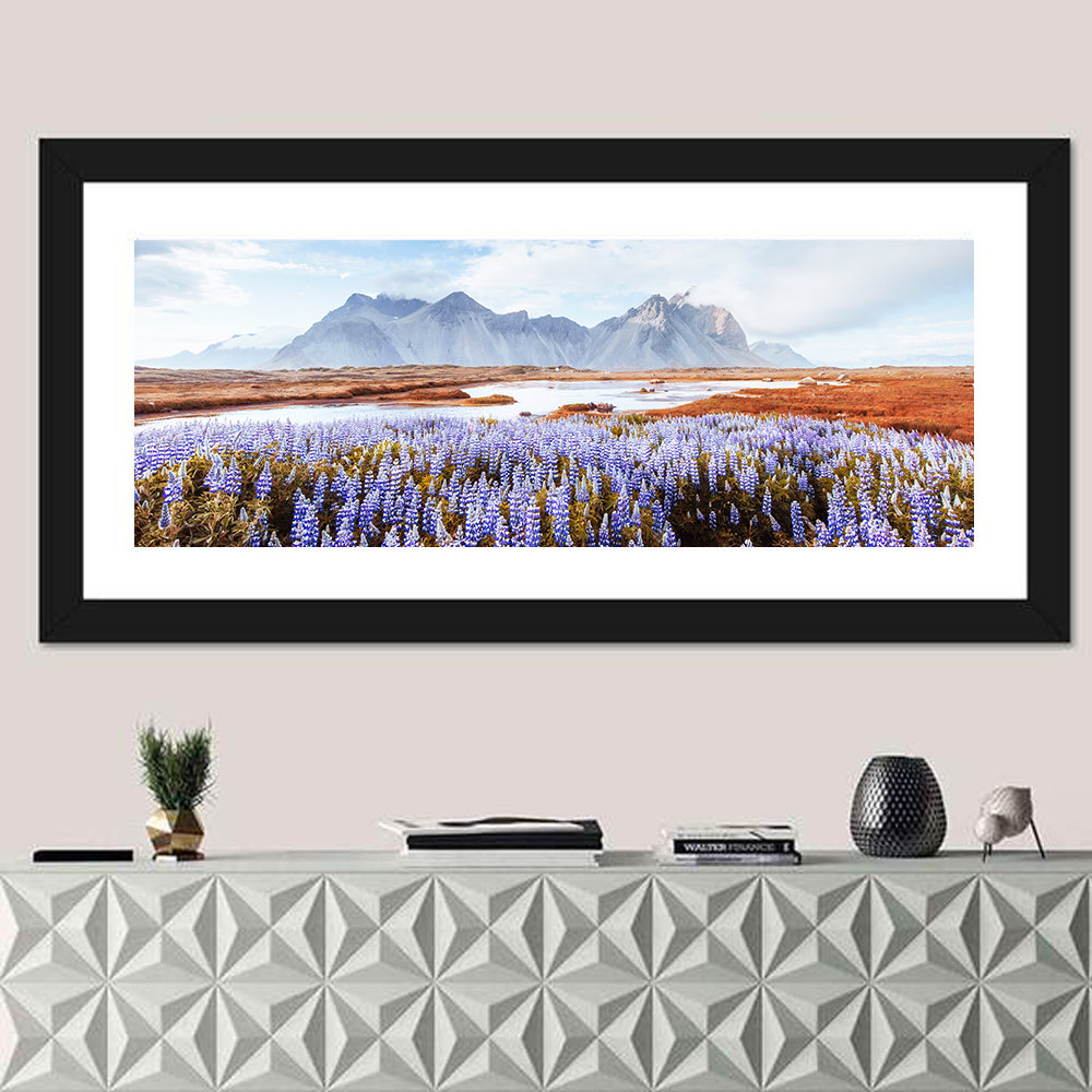 Lupine Fields at Vestrahorn Wall Art