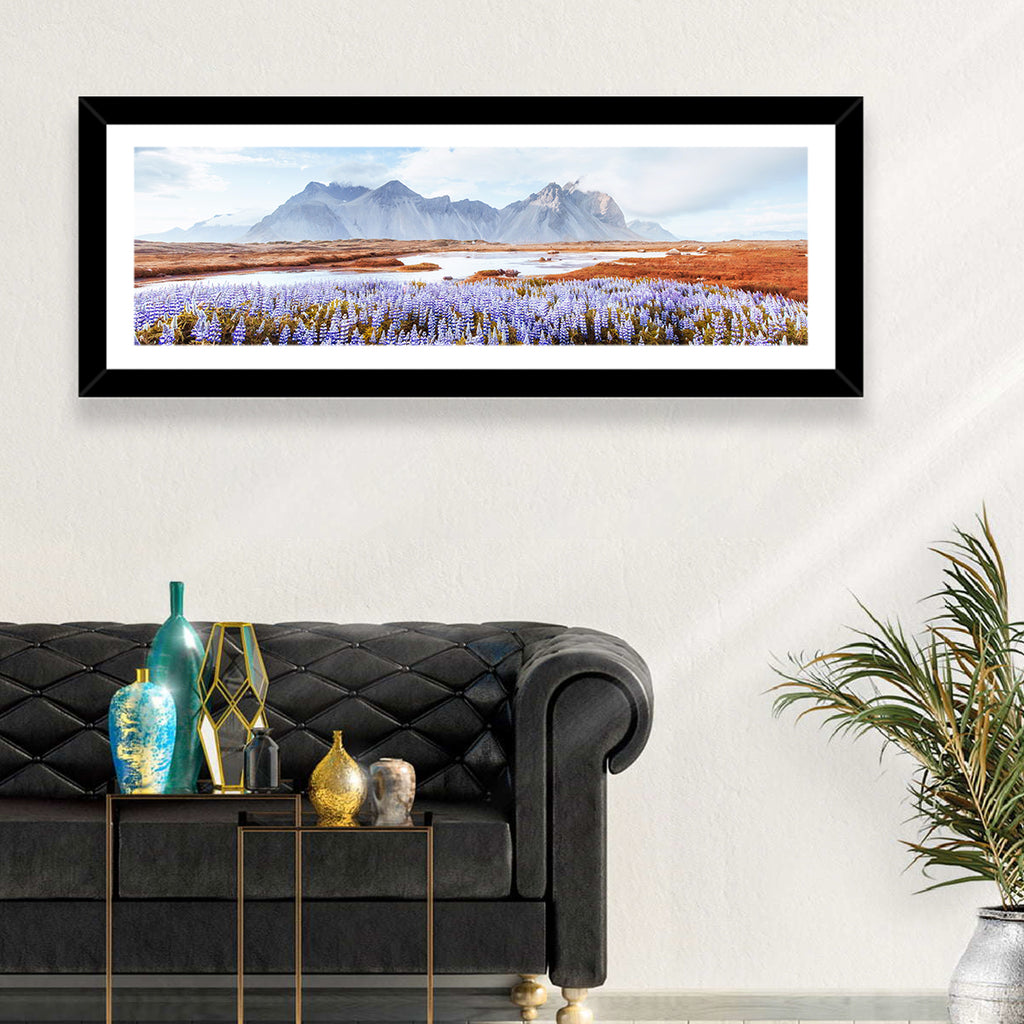 Lupine Fields at Vestrahorn Wall Art