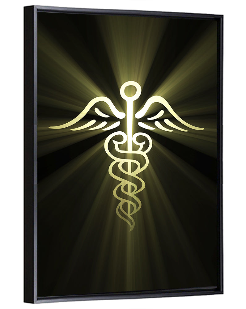 Medical Corps Caduceus Emblem Wall Art