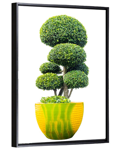 Bonsai Topiary in Yellow Lime Pot Wall Art