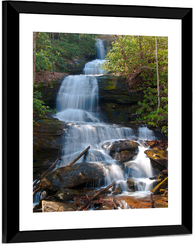 Desoto Falls Cascading Waterfall Wall Art