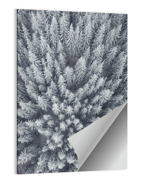 Forest Snowy Trees Wall Art