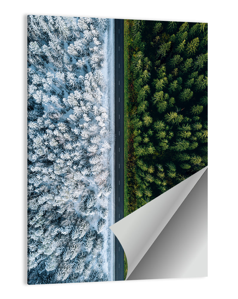 Summer and Winter Forests Wall Art
