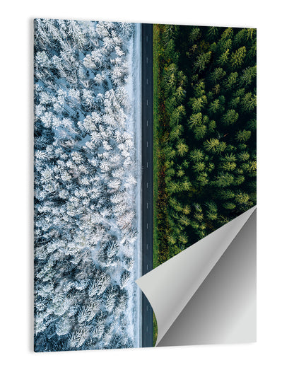 Summer and Winter Forests Wall Art