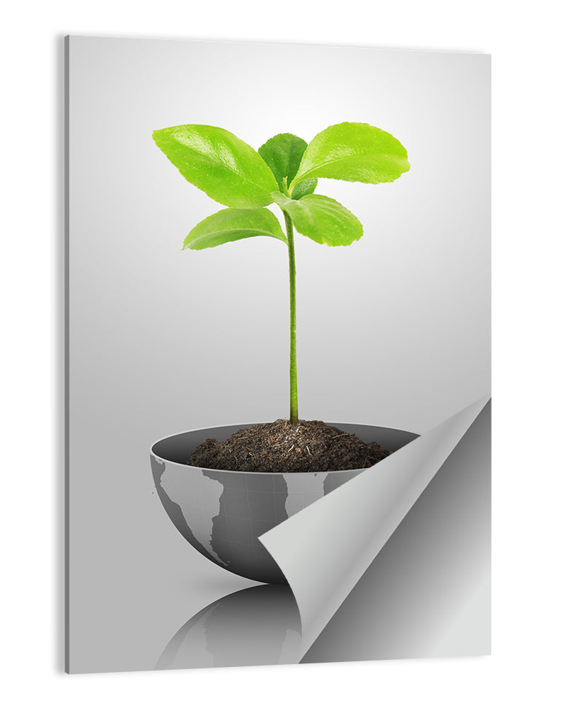 Young Plant on Globe Wall Art