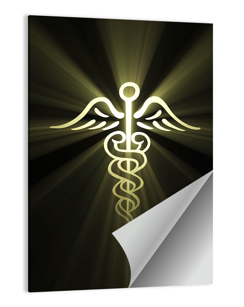 Medical Corps Caduceus Emblem Wall Art
