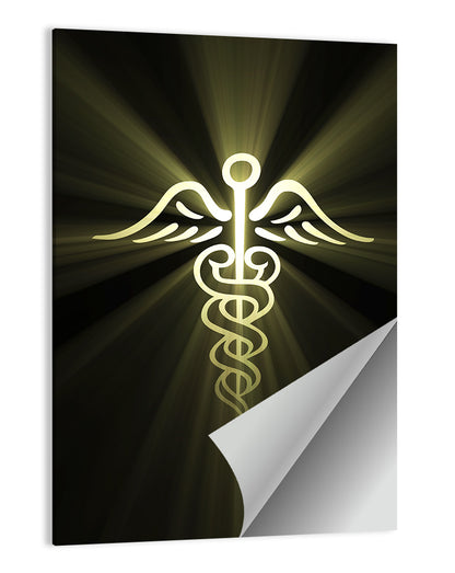 Medical Corps Caduceus Emblem Wall Art