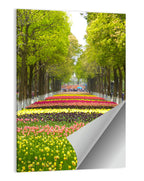 Tree-lined Tulip Garden Path Wall Art