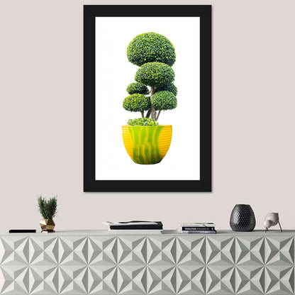 Bonsai Topiary in Yellow Lime Pot Wall Art