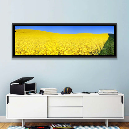 Sunlit Rapeseed Field Wall Art