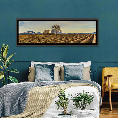 Rustic Provence Lavender Rows at Golden Hour Wall Art