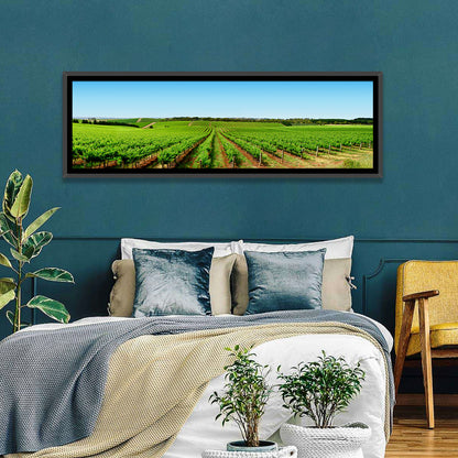Sunlit Vineyard Rows Wall Art