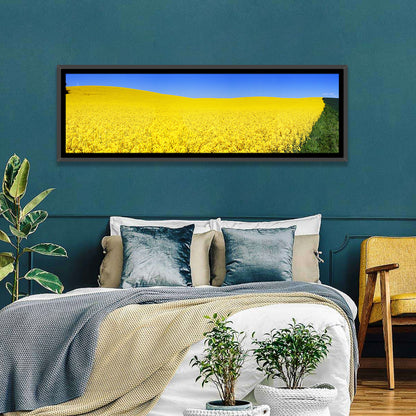 Sunlit Rapeseed Field Wall Art