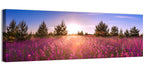 Sunrise Wildflower Meadow Wall Art