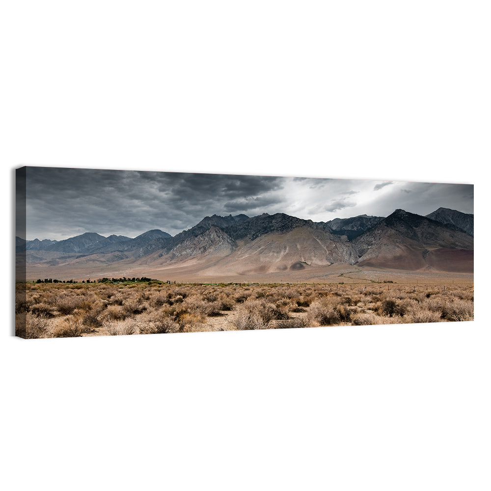 Storm Over Death Valley Wall Art